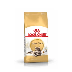 Royal Canin Adult Maine Coon Dry Food - Breed-Specific Nutrition for Cats Over 15 Months Old, 2kg/10kg