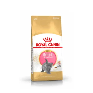 Royal Canin Kitten British Shorthair Dry Food - Breed-Specific Growth Nutrition for British Shorthair Kittens, 2kg/10kg