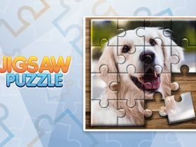 Jigsaw Puzzle